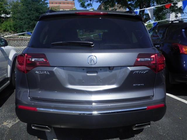 2010 Acura MDX Sltexas
