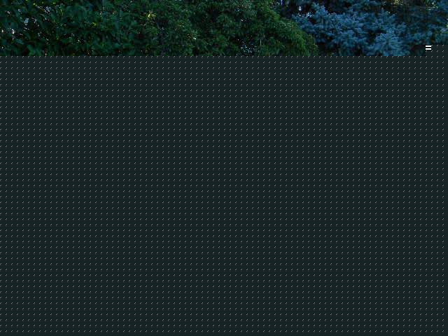 2005 BMW 3 series Unknown