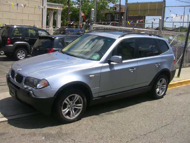 2004 BMW X3 Lightning