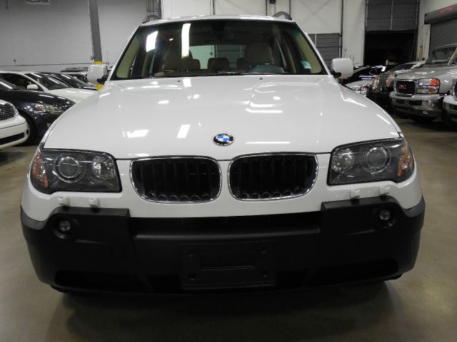2004 BMW X3 Lightning