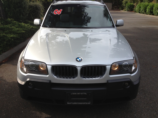 2004 BMW X3 Lightning
