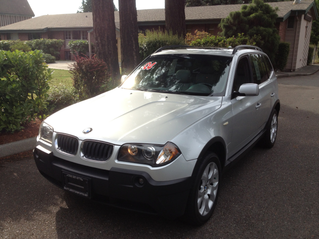 2004 BMW X3 Lightning