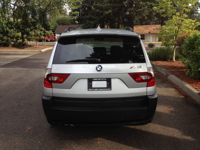 2004 BMW X3 Lightning