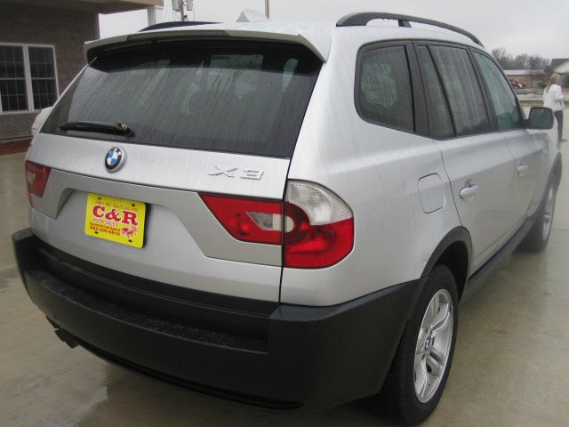 2004 BMW X3 Lightning
