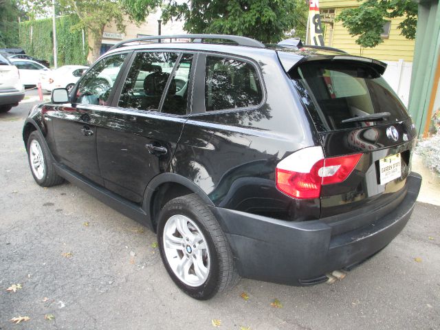2005 BMW X3 Lightning