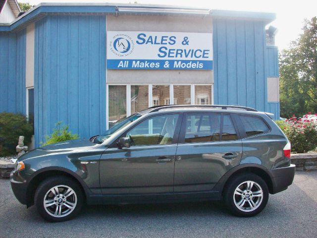 2005 BMW X3 Lightning