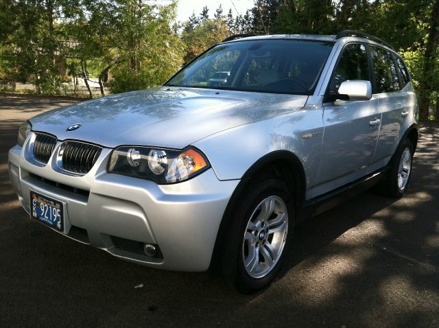 2006 BMW X3 Lightning