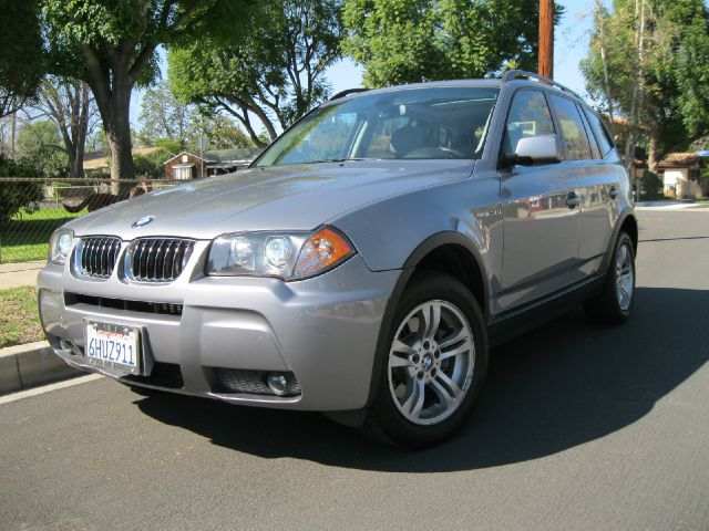 2006 BMW X3 Lightning