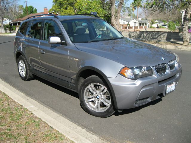 2006 BMW X3 Lightning