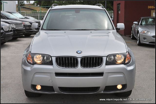 2006 BMW X3 Lightning