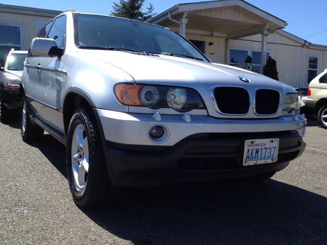 2001 BMW X5 Lightning