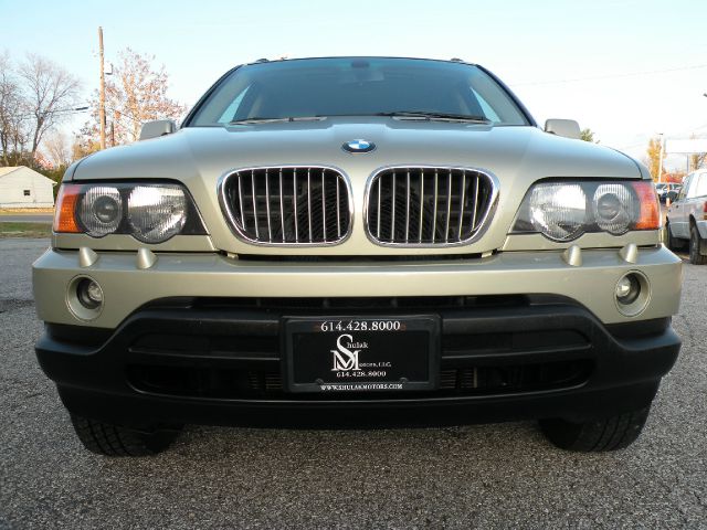 2001 BMW X5 Lightning