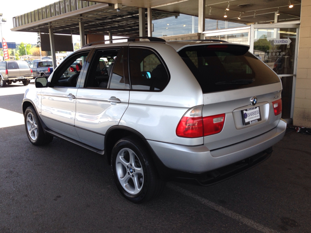 2002 BMW X5 Lightning