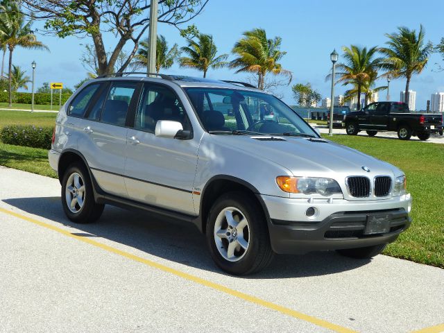 2002 BMW X5 Lightning