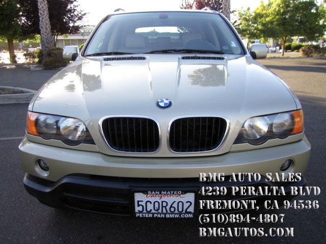 2003 BMW X5 Lightning