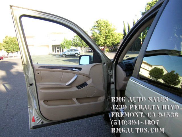 2003 BMW X5 Lightning