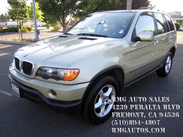 2003 BMW X5 Lightning