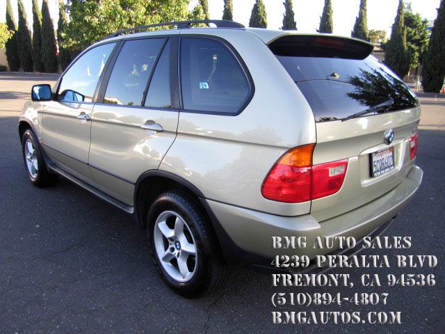 2003 BMW X5 Lightning
