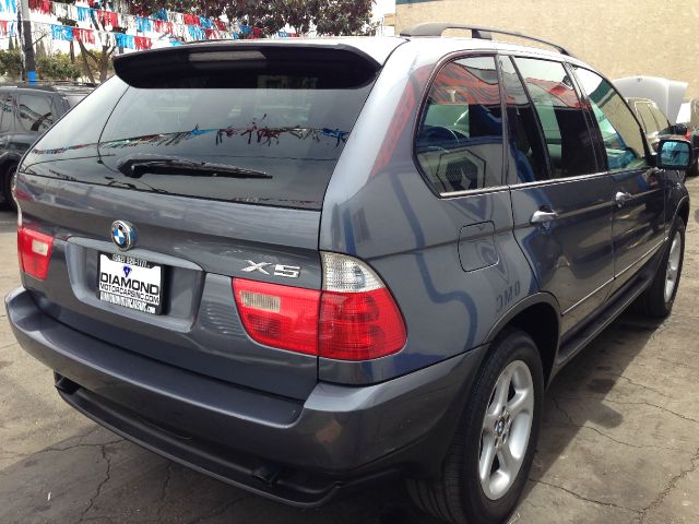 2003 BMW X5 Lightning