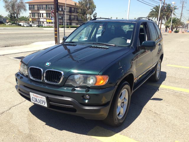 2003 BMW X5 Lightning
