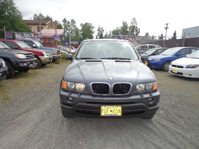 2003 BMW X5 Lightning