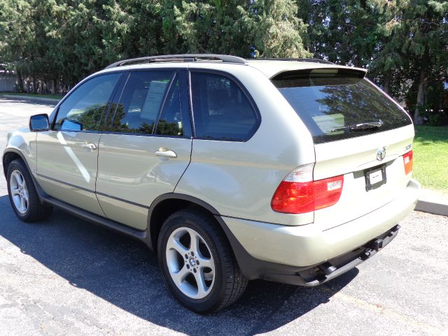 2003 BMW X5 Lightning
