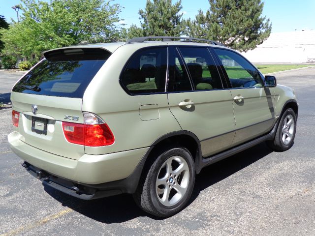 2003 BMW X5 Lightning