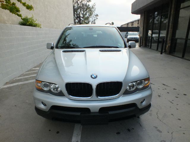 2004 BMW X5 Lightning