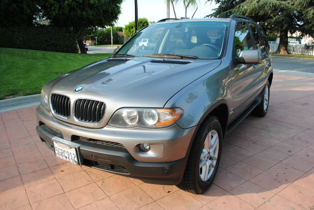 2004 BMW X5 Lightning