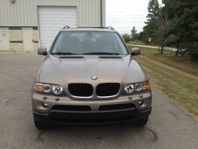 2004 BMW X5 Lightning