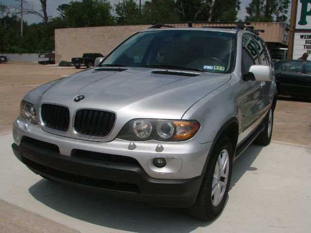 2004 BMW X5 Lightning