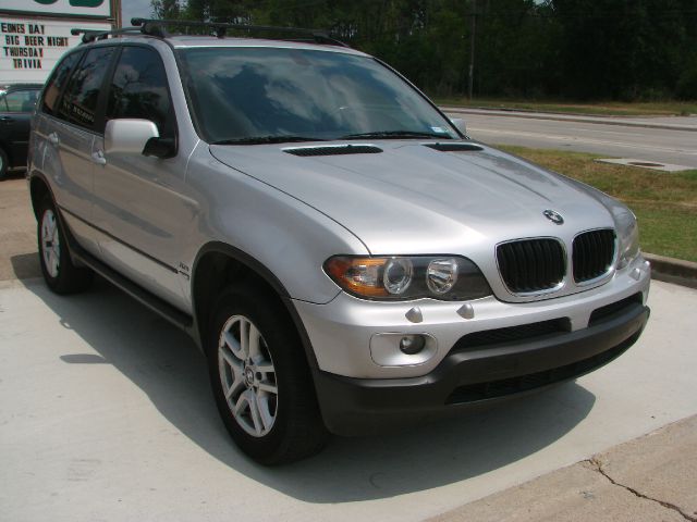 2004 BMW X5 Lightning