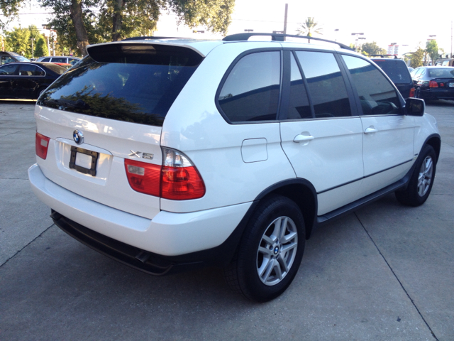 2004 BMW X5 Lightning