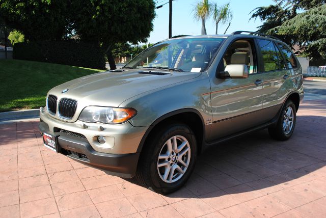 2005 BMW X5 Lightning