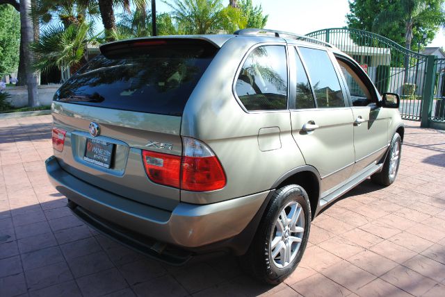 2005 BMW X5 Lightning
