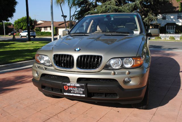 2005 BMW X5 Lightning