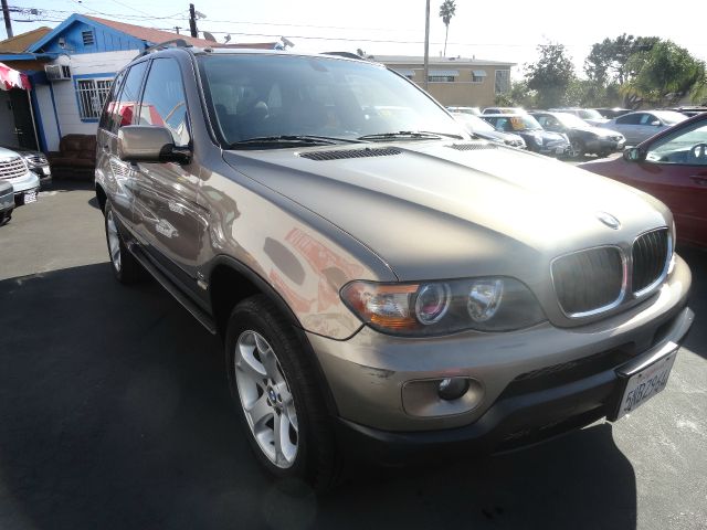 2005 BMW X5 Lightning