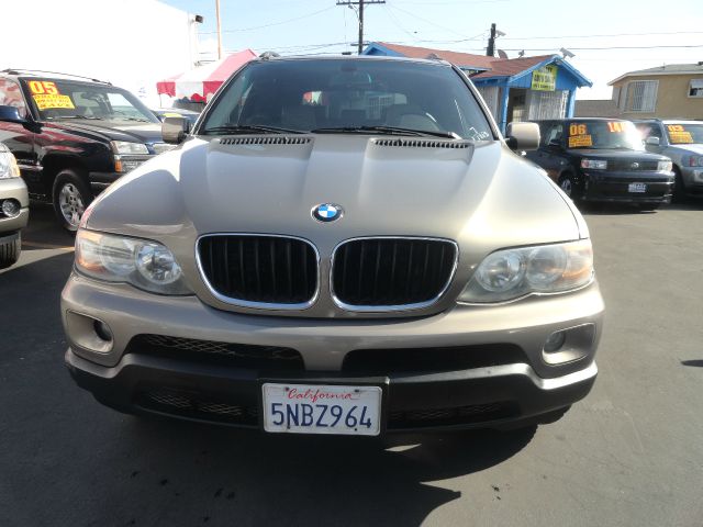 2005 BMW X5 Lightning