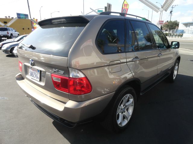 2005 BMW X5 Lightning