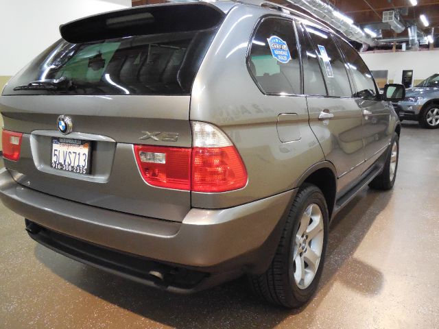 2005 BMW X5 Lightning