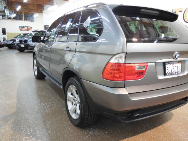 2005 BMW X5 Lightning