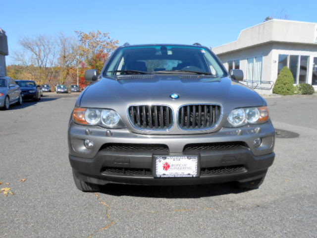 2006 BMW X5 Lightning