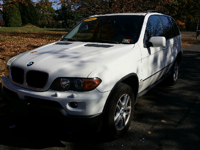 2006 BMW X5 Lightning