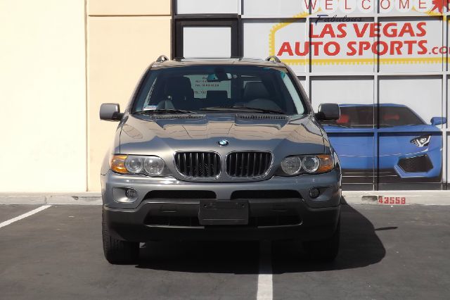2006 BMW X5 Lightning