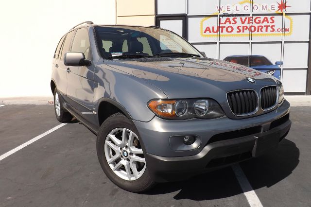 2006 BMW X5 Lightning