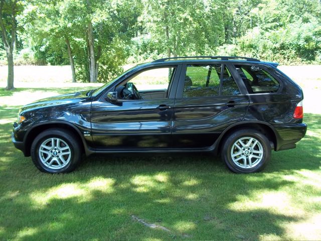 2006 BMW X5 Lightning