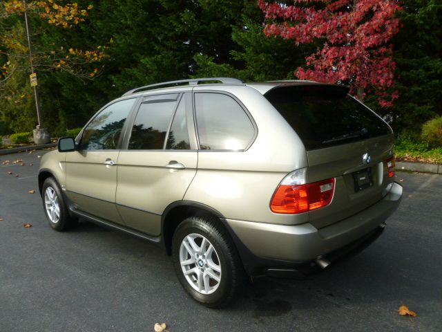 2006 BMW X5 Lightning