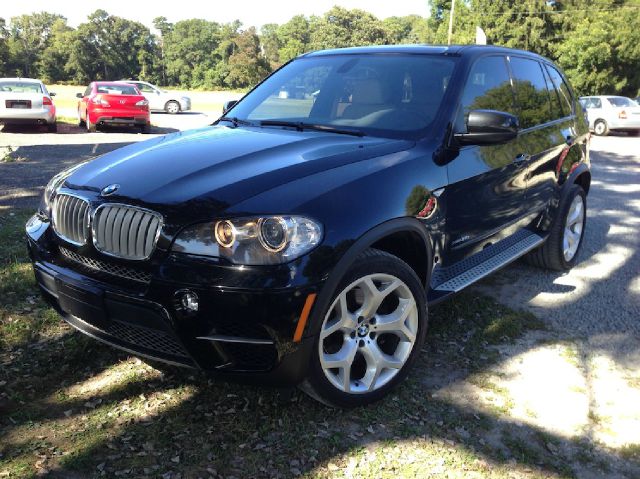 2011 BMW X5 L83