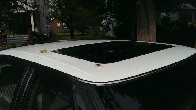 1996 Buick Park Avenue TK