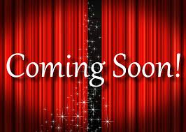 2009 Cadillac DTS 7-passenger EX